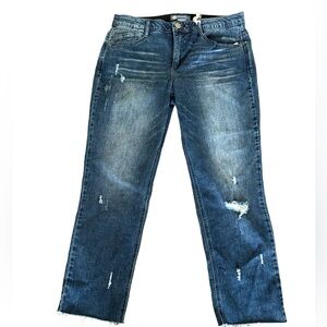 FINAL PRICE NWT Democracy Absolution Slim Straight Jeans Ladies Size 12